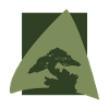 Tree, Bonsai, Grow, Tree