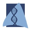 Biologia DNA DNA