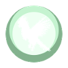 Bird Cockatoos Parrot