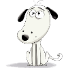 Okô the skeptical dog