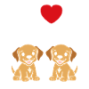 Petit chien humour labrador