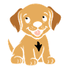 Petit chien humour labrador