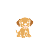 Petit chien humour labrador