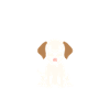 Petit chien humour labrador