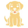 Petit chien humour labrador