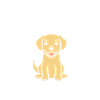 Petit chien humour labrador