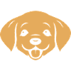 Petit chien humour labrador