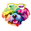 Malteser Hund bunt regenbogen