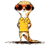 Meerkat with sunglasses Meerkat