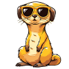 Meerkat with sunglasses Meerkat