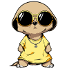 Meerkat with sunglasses Meerkat