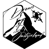 DronesOfSwitzerland