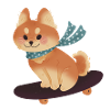 Skating Shiba Inu Dog