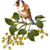 Bunter Vogel