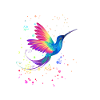 Kolibri