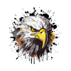 Eagle Head Symbol Animal