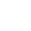 Cat Vet