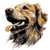 Golden Retriever Dog's Cheerful Cover