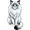 mailo cat