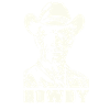 Cowboy Western Riding Howdy