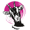 capra divertente testa animale corna umorismo donna