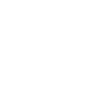 Année du Dragon 2024