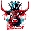 Bayonne Feria! Festayre