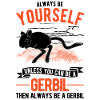 Gerbille Cadeau Gerbille Gerbille