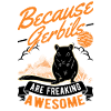 Gerbille Rennratte Rennmaus