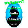 Hacker in Kapuze