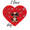 Valentine's Day Dog
