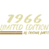 1966 Birthday Gift Idea 1966