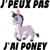 poney, cheval, poney club