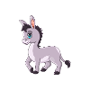 Poney - Cheval - Poney club