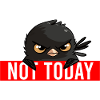 NOT TODAY ANGRY BIRD