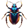 Bug