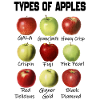 Types of Apples - Apples Breeds List Apples Lover
