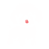 Humor Dog Small Poodle
