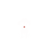 Humour chien petit caniche