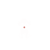 Humour chien petit caniche