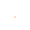 Humour chien petit caniche