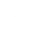 Humour chien petit caniche
