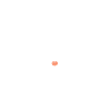 Humour chien petit caniche
