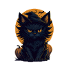 Cat Black Cat Halloween