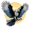 Eagle Illustration