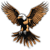 Eagle Illustration