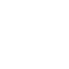 2029