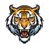 Tiger Head
