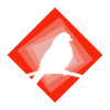 Parakeet Bird Peep
