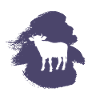Beef Beef Beef
